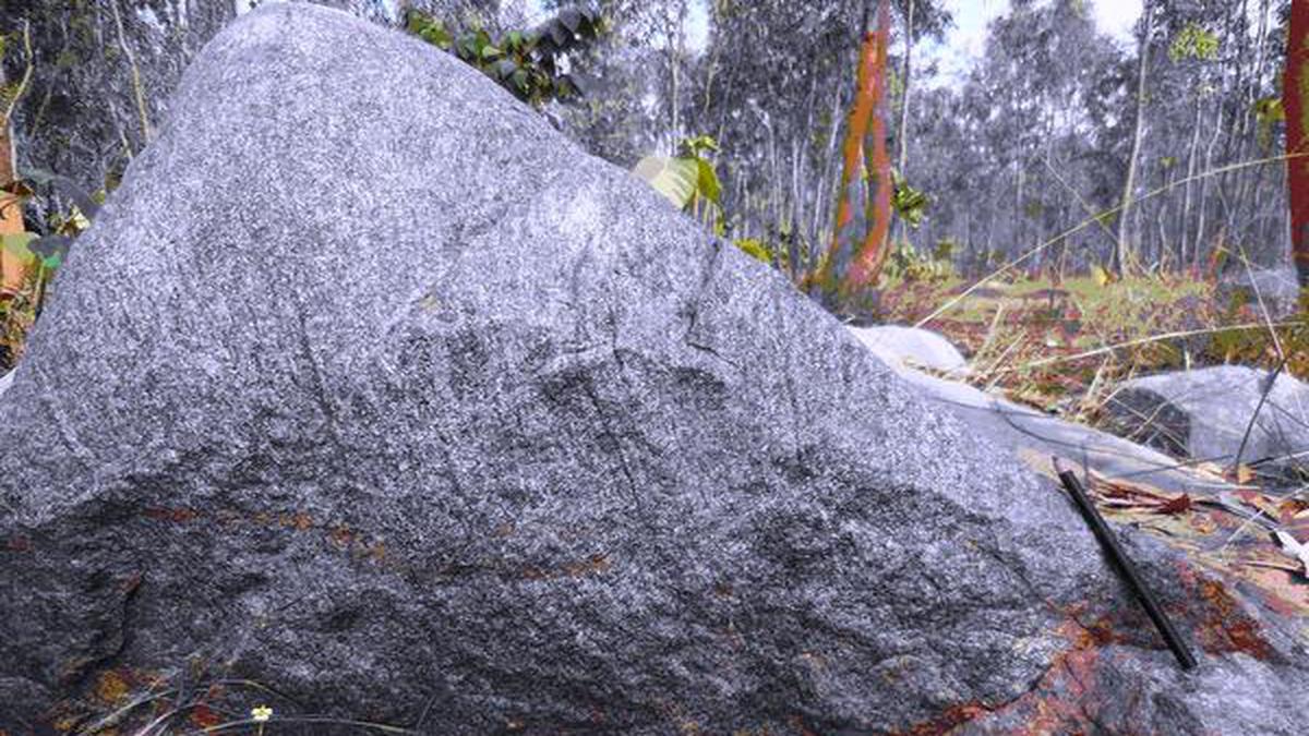 World S Second Oldest Rock Is From Odisha The Hindu   Oldest  Zicron Host Rock